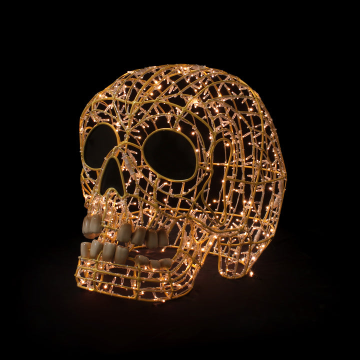 Skulls