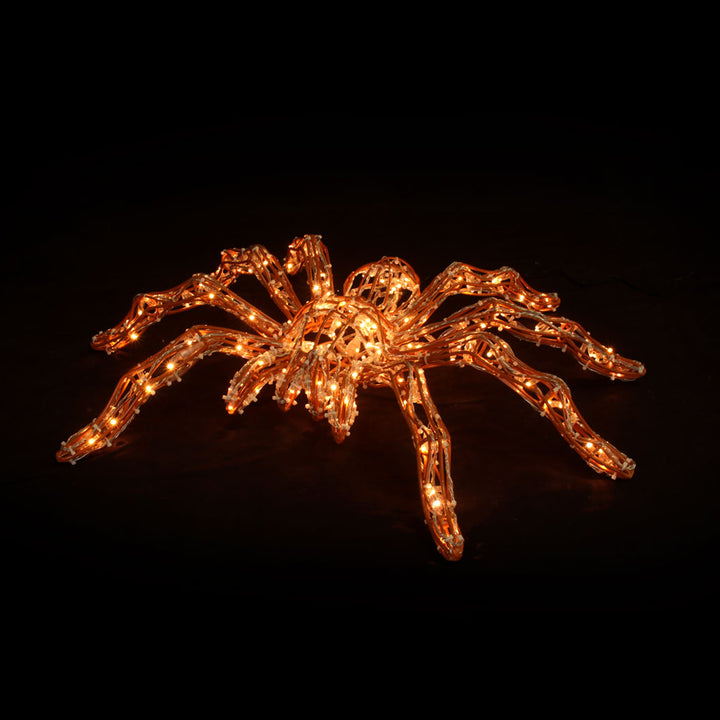 Spiders