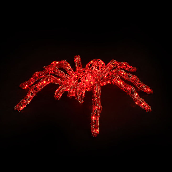 Spiders