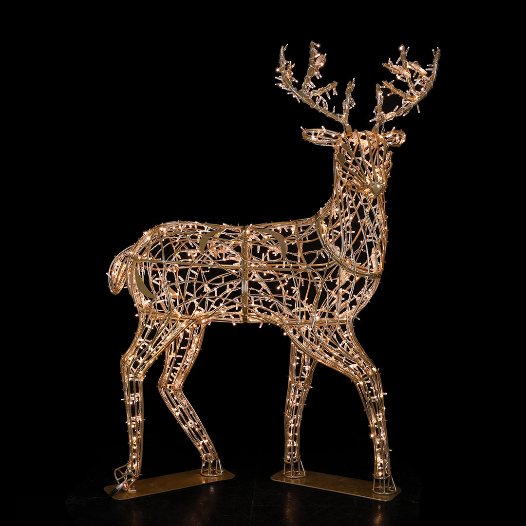 Deer Family, Buck