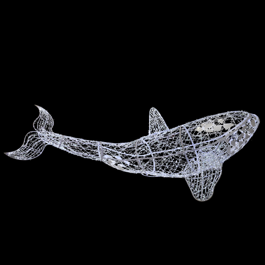 Orca Whale