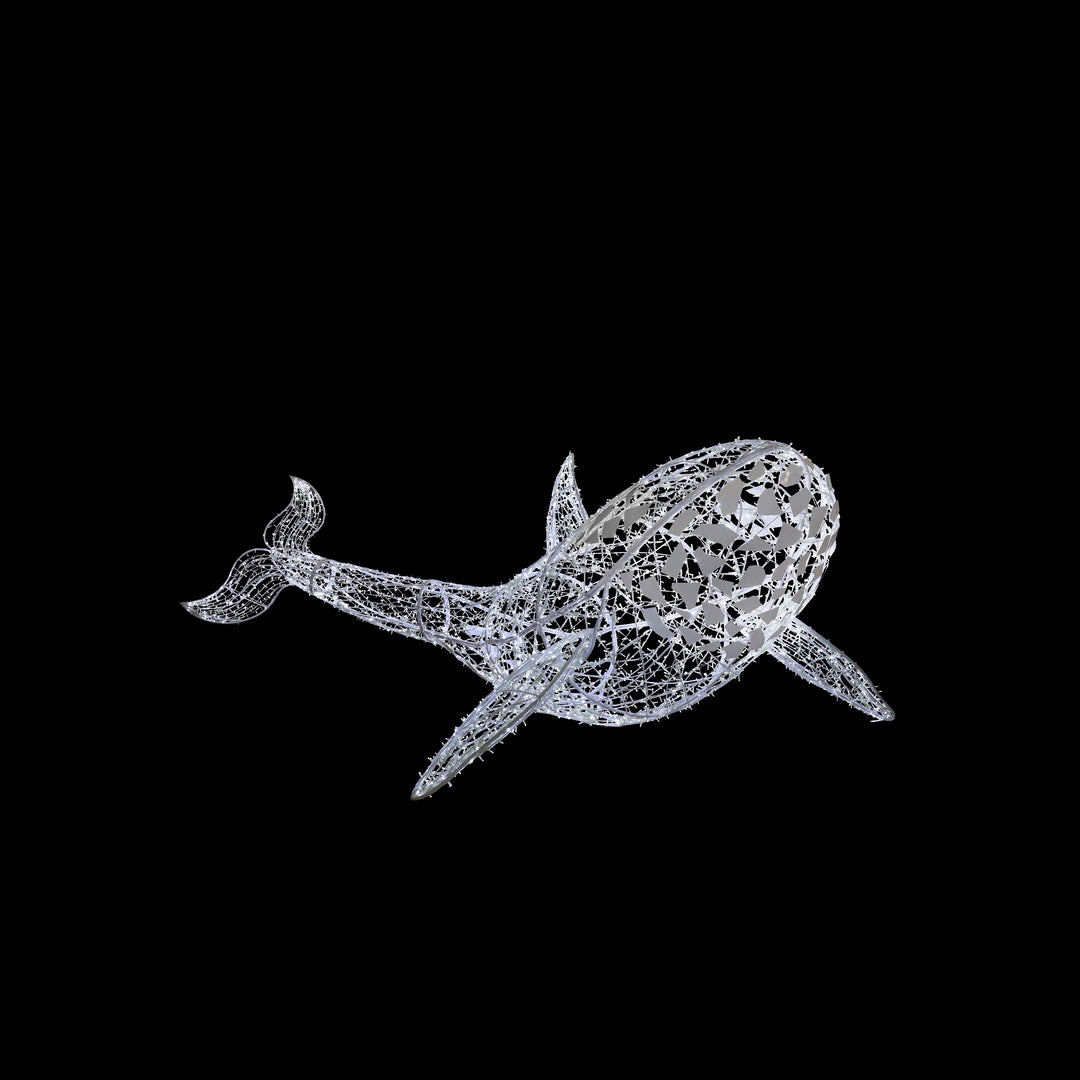Orca Whale