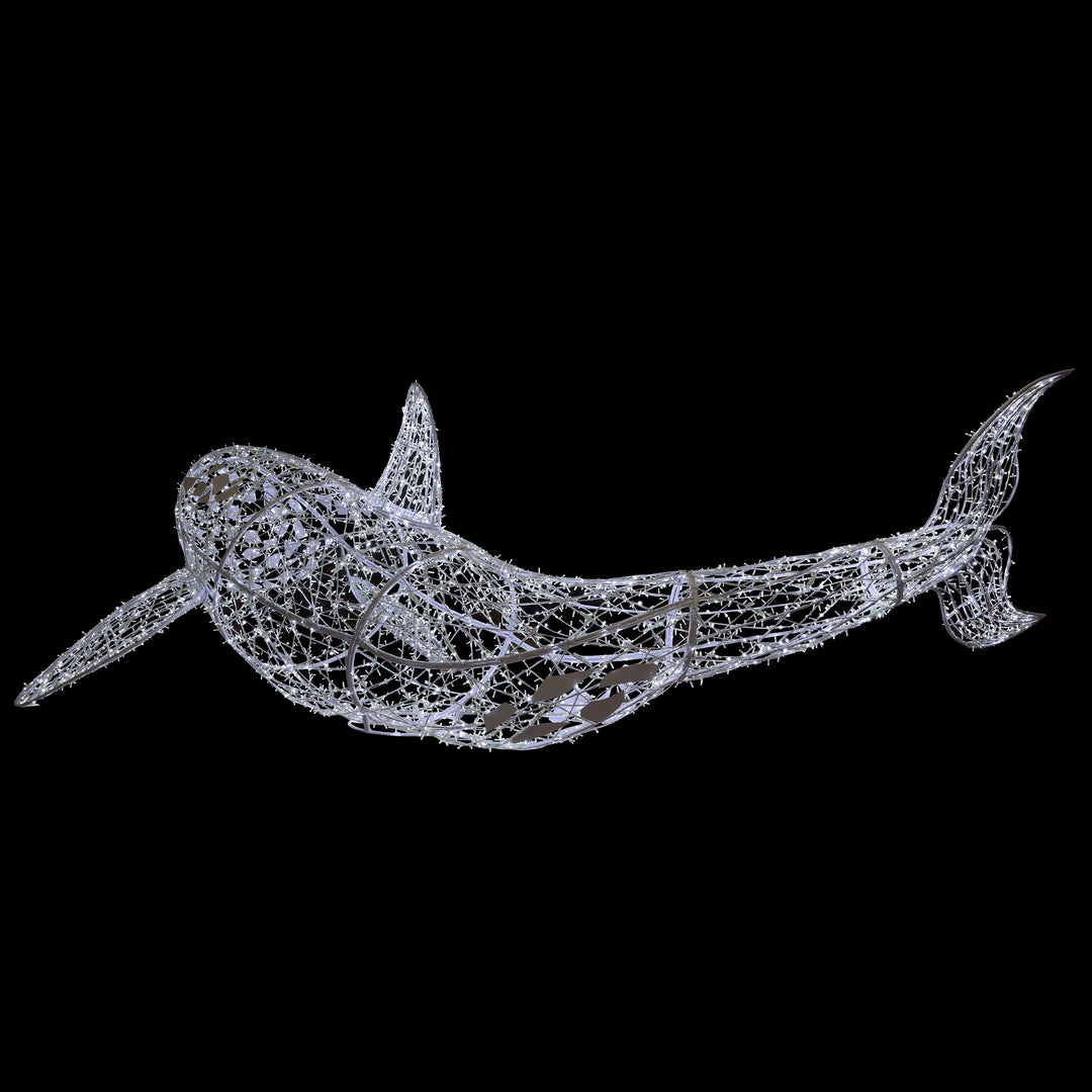 Orca Whale