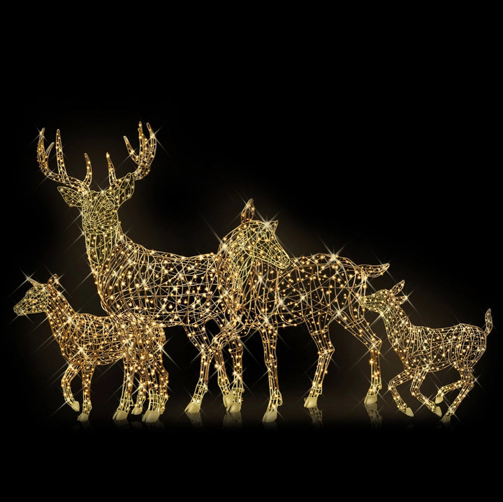 Royal Fawn Running