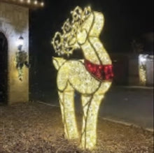 3D Deer, WW & Red Lights