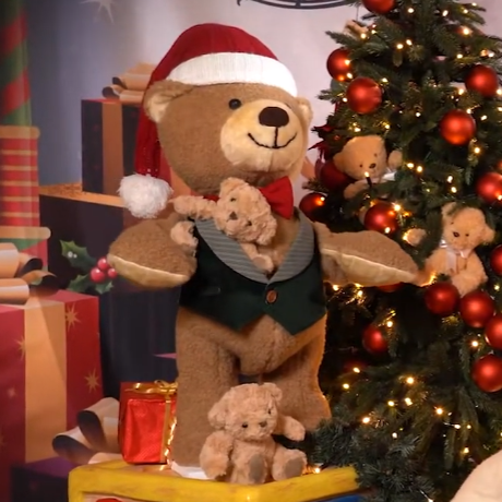 Bobby the bear - standing