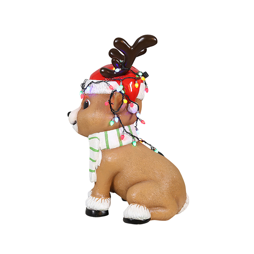 Baby Deer with lights