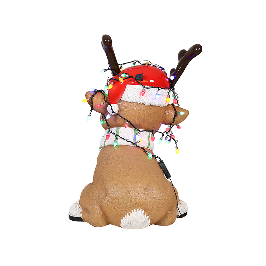 Baby Deer with lights