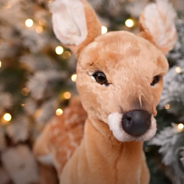 Fawn- Standing
