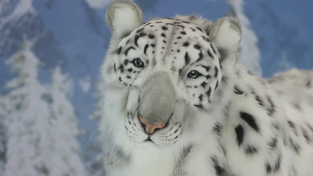 Video of Animatronic Snow Leopard 95 cm tall