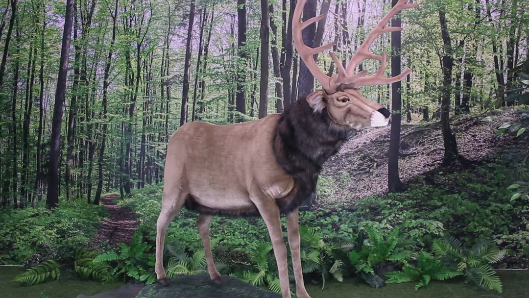 Deer - 59in Tall