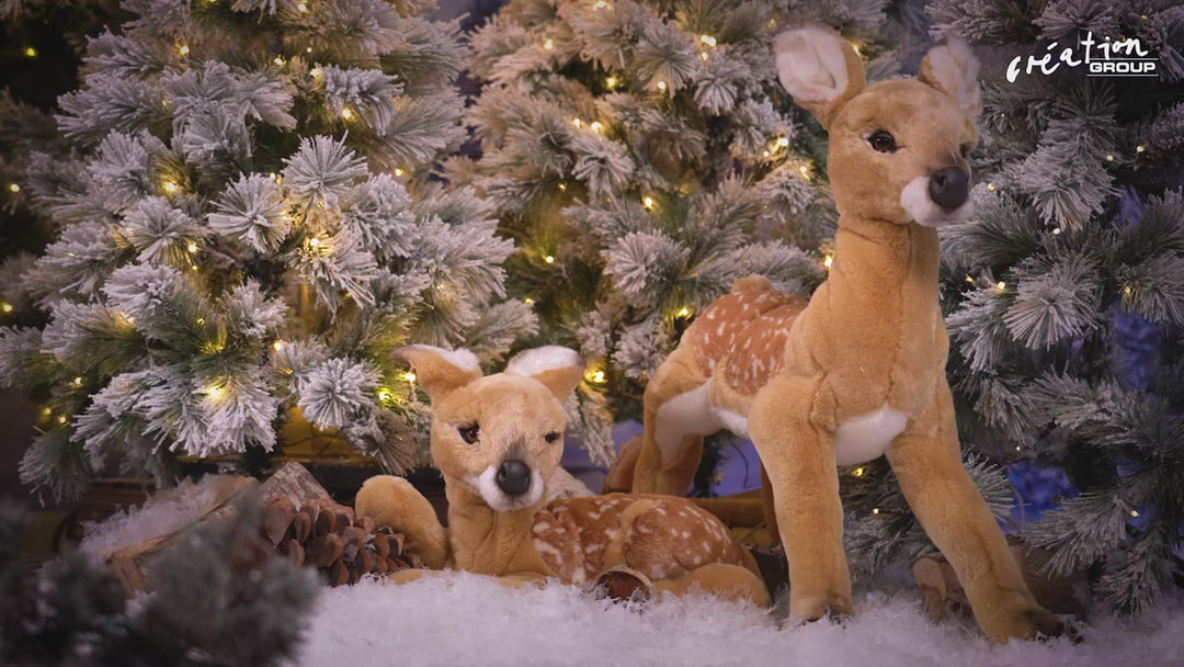 Fawn- Standing