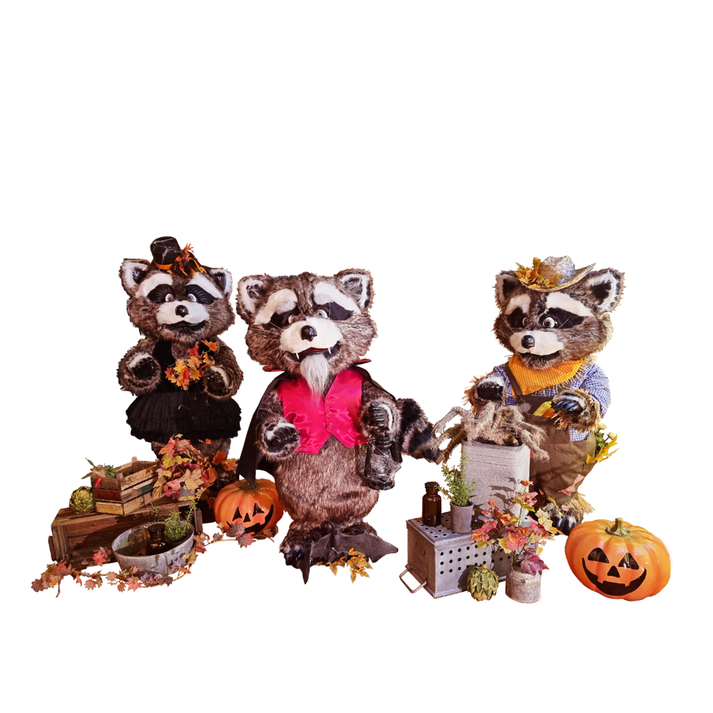Racoon Halloween Band