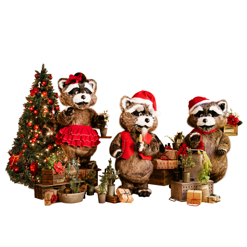 Racoon Christmas Band 