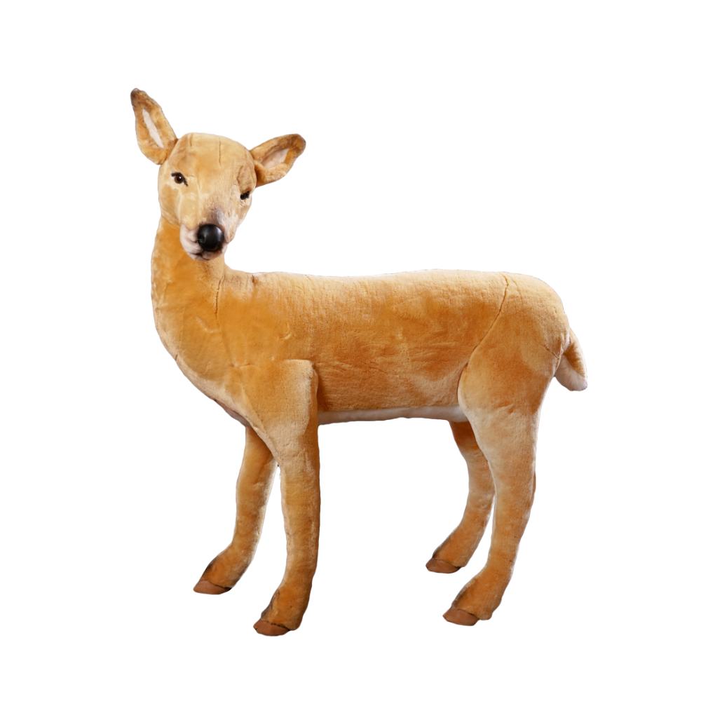 Doe Deer, Standing