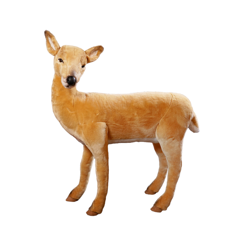 Doe Deer, Standing