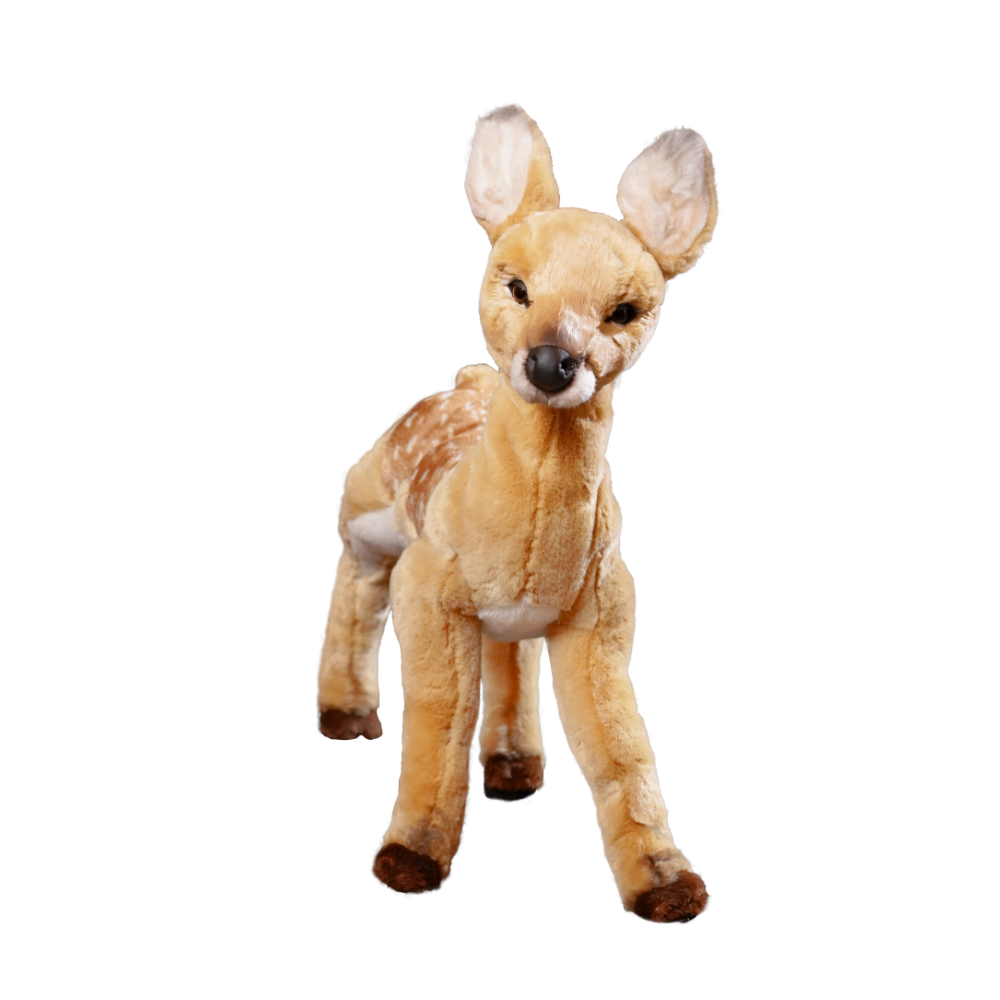 Fawn, Standing