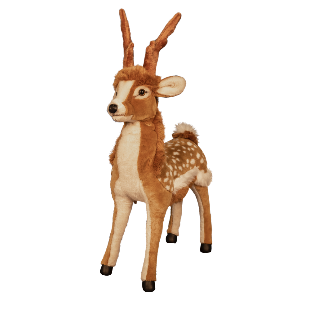 Deer with antlers, standing