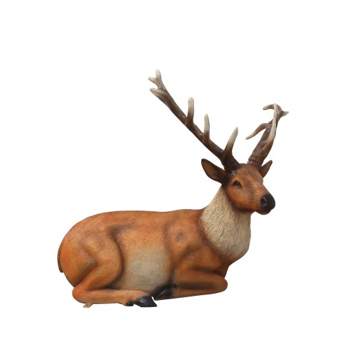 Laying Stag