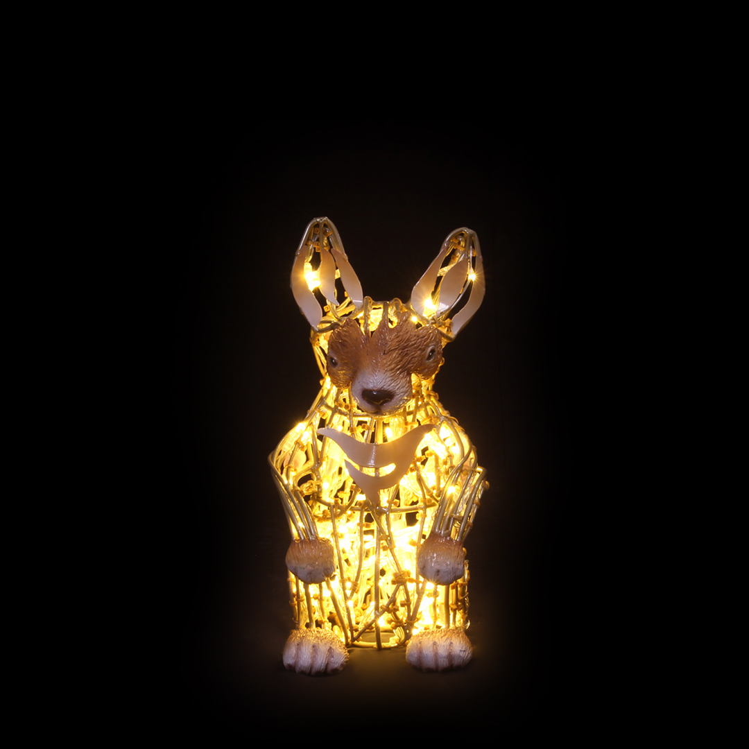 Bunny Kid