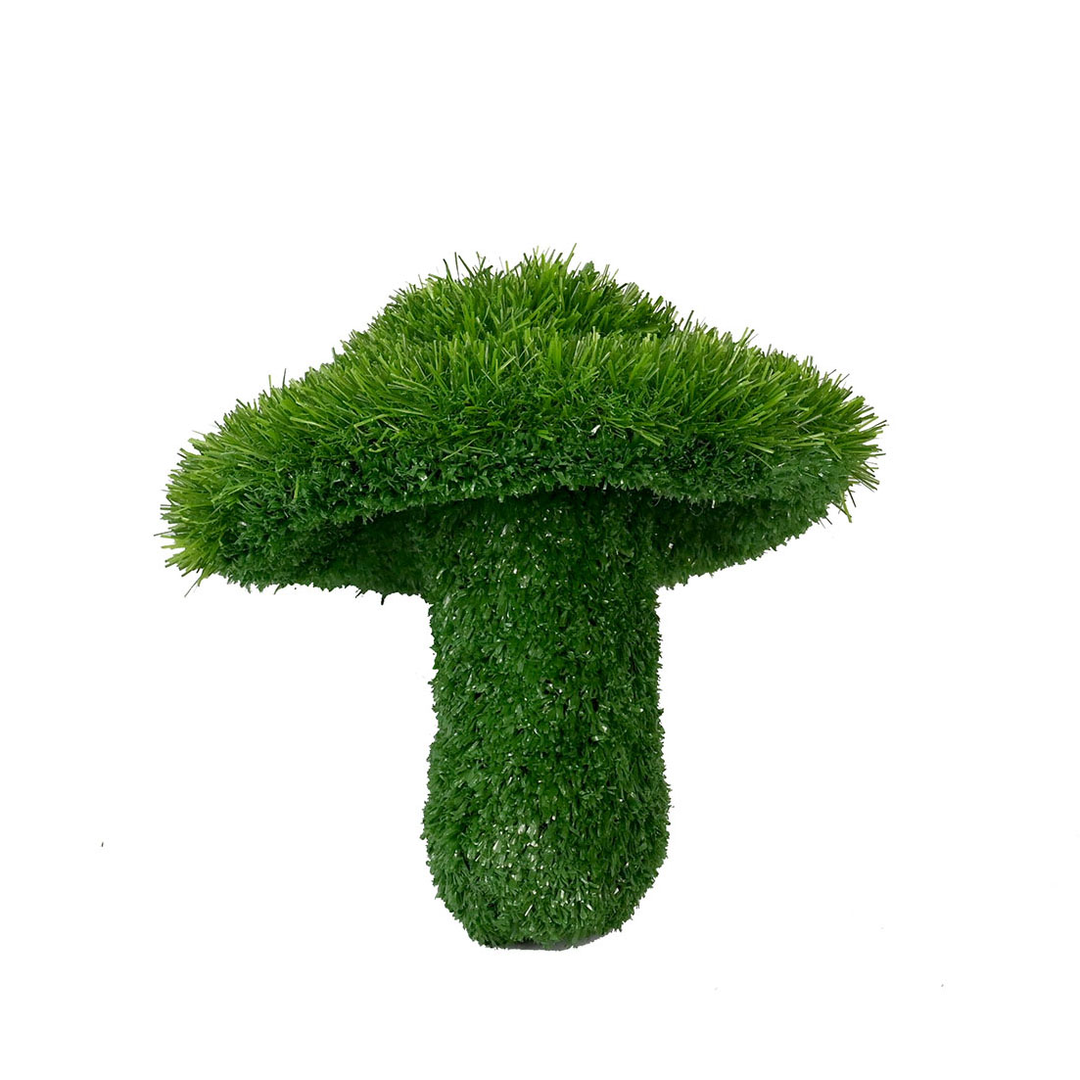 Umbralla Mushroom