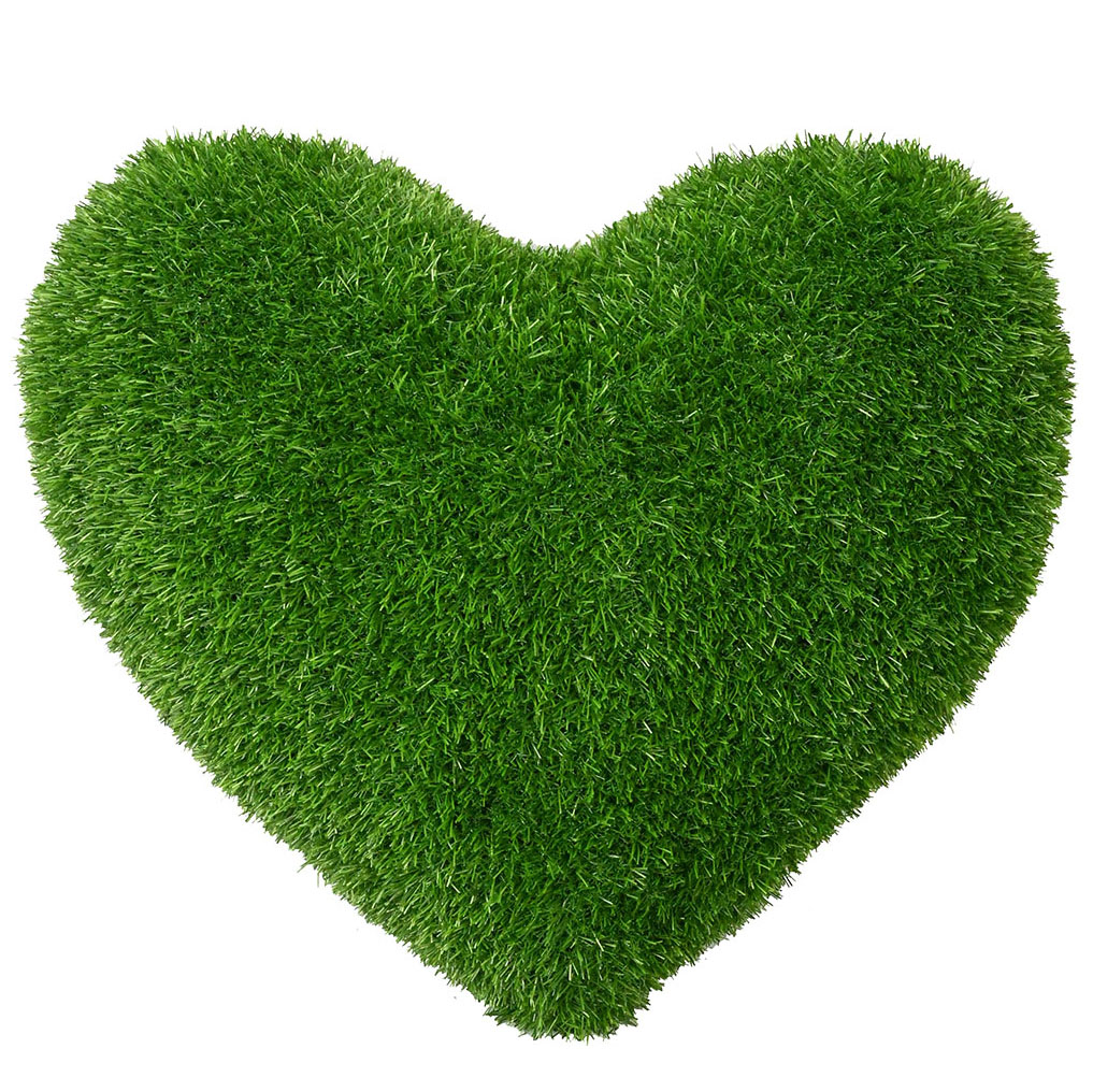 Heart