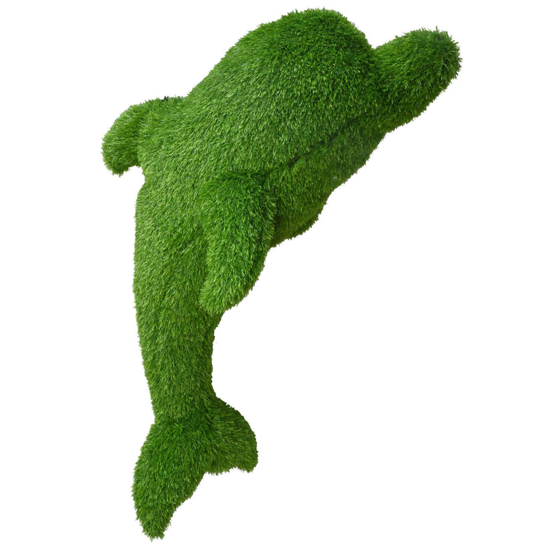 Dolphin