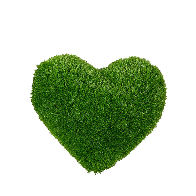 Heart Cushion