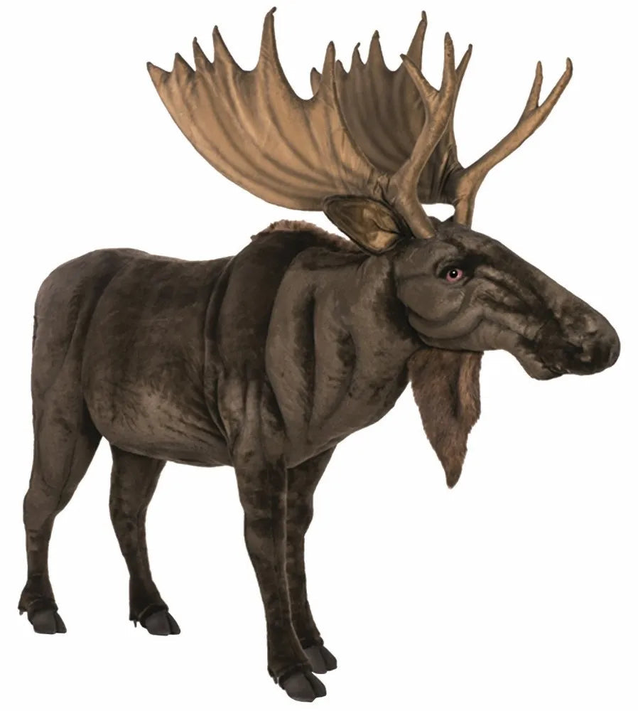 (A) Moose 187cmH
