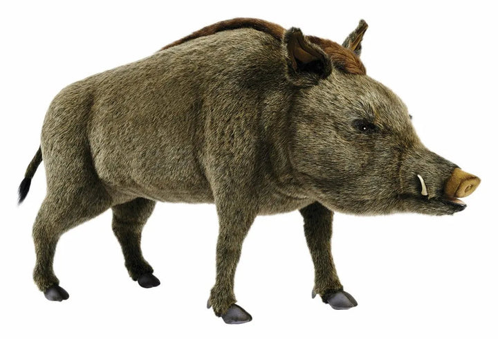 (A) Wild Boar Standing 95cmH