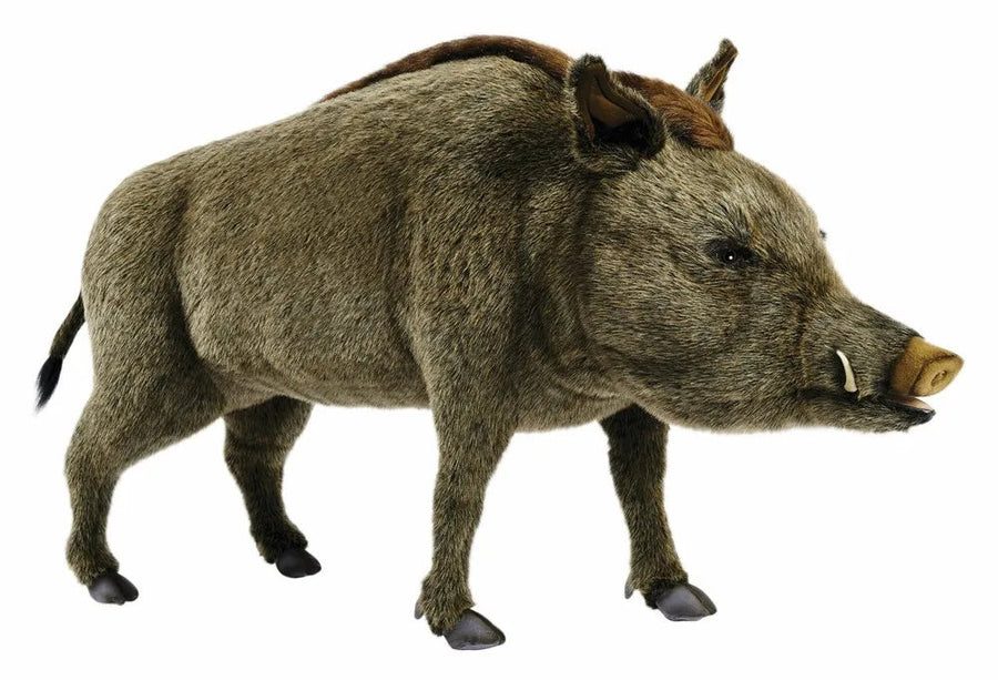 (A) Wild Boar Standing 95cmH