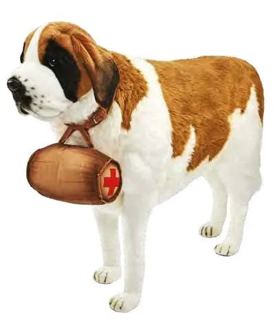 (A) St Bernard 95cmH