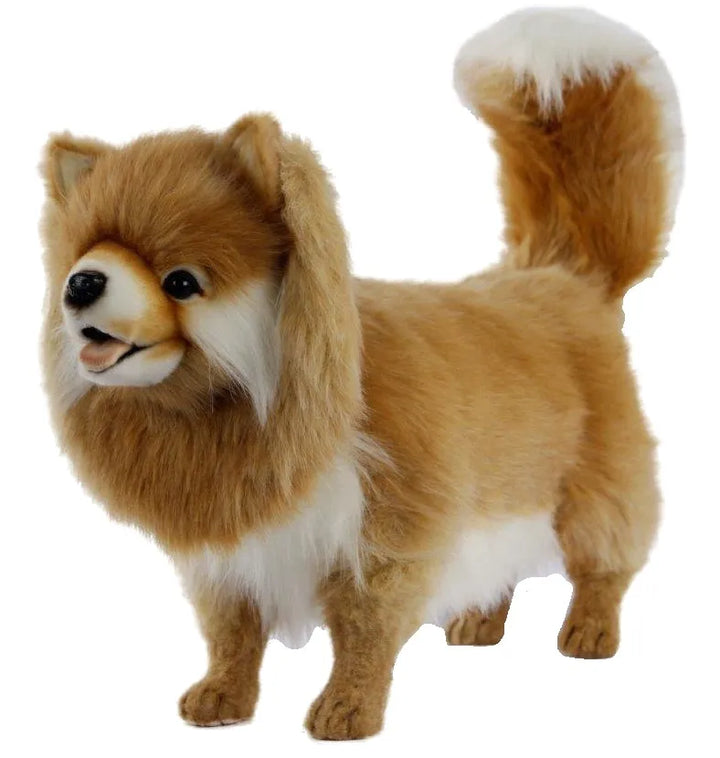 (A) Pomeranian Dog Standing 45cmH