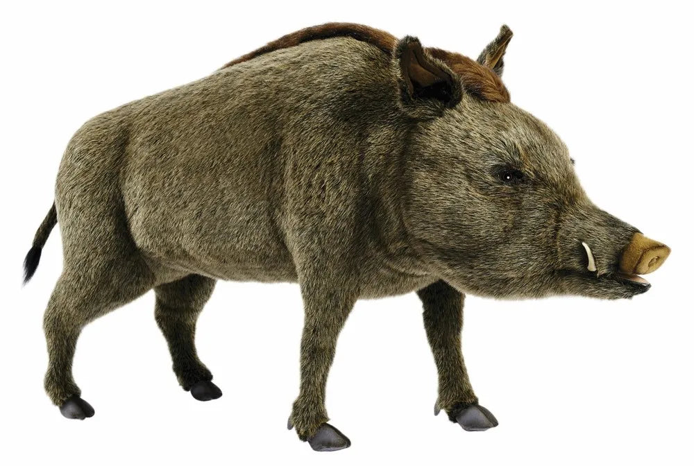Wild Boar Standing 95cmH