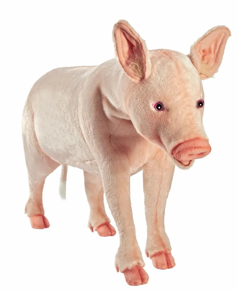 Pig Lifesize 76cmH