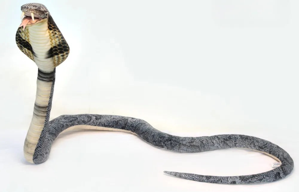 King Cobra 230cmL