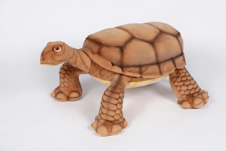 Turtle Seat 70cmL