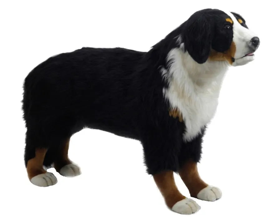 Bernese Mountain Dog Standing 125cmL