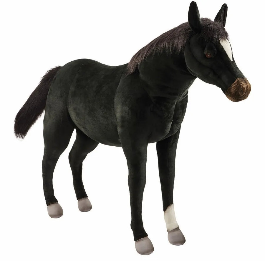 Black Horse 143 cm