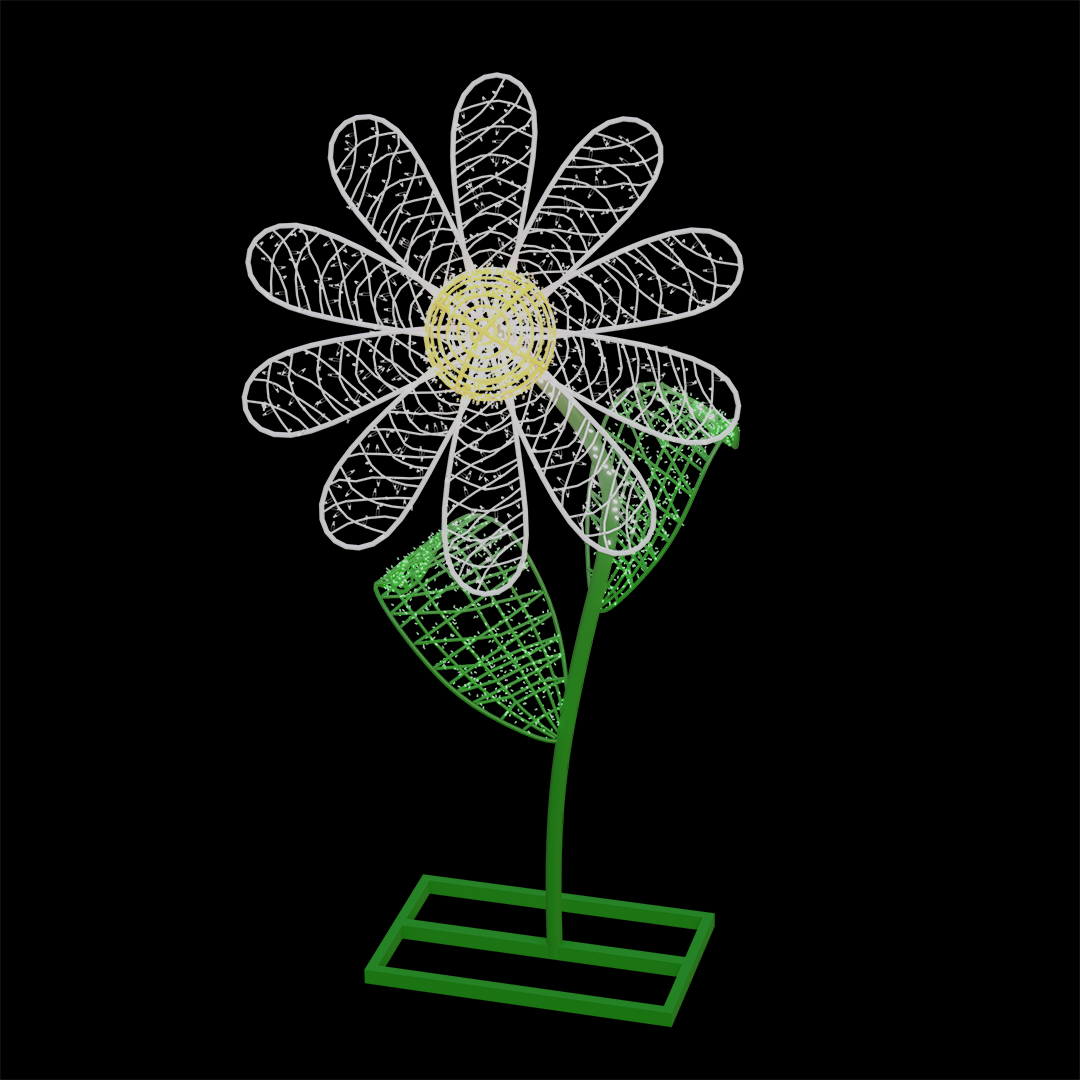 Daisy Flower