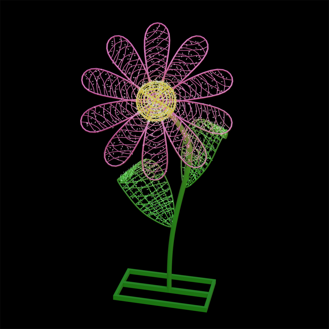 Daisy Flower