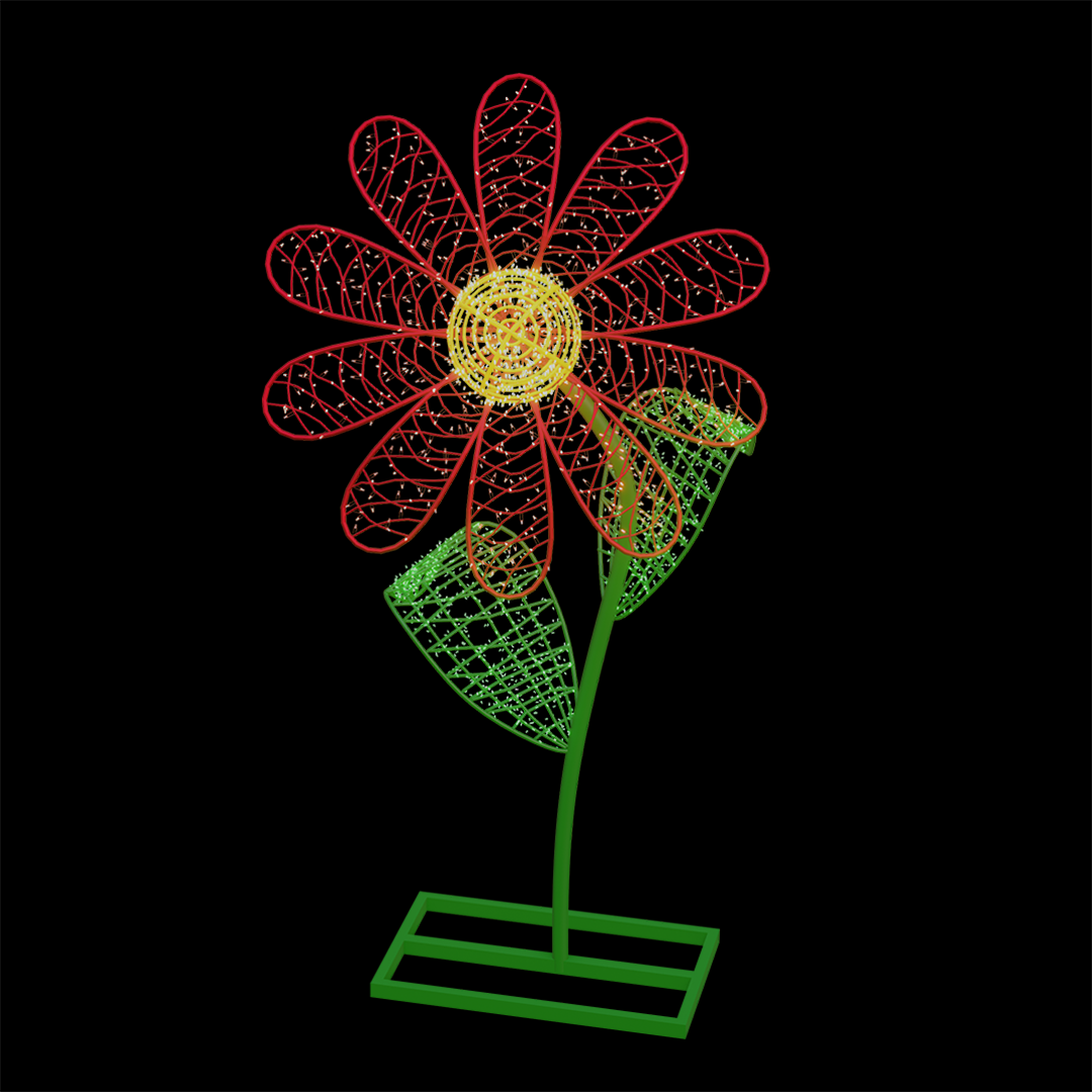 Daisy Flower