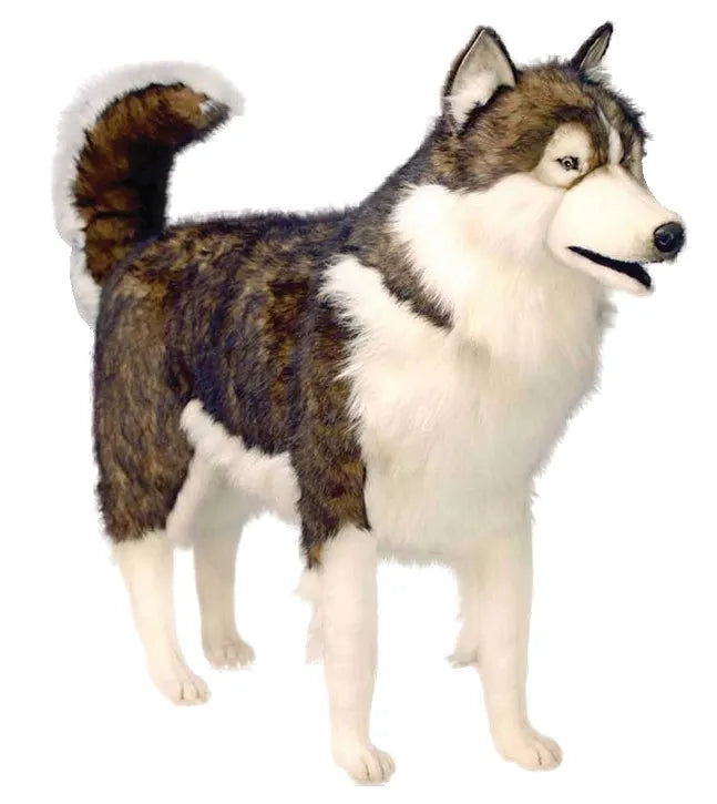 Husky Standing 85cm tall