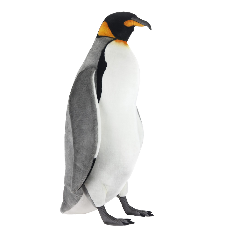 King Penguin 80 cm Tall