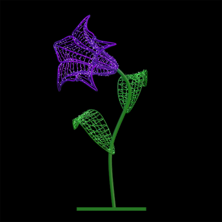 Morning Glory Flower