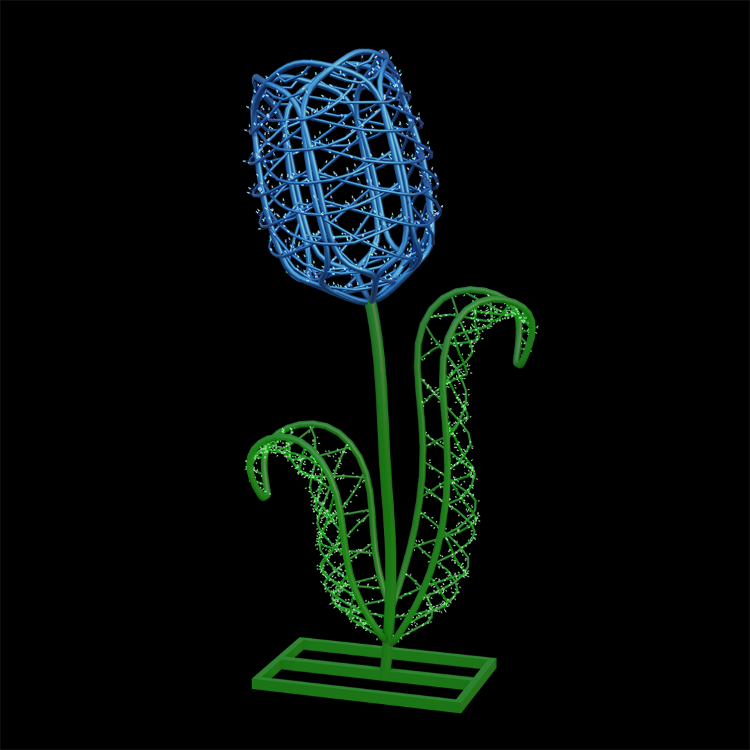 Tulip Flower