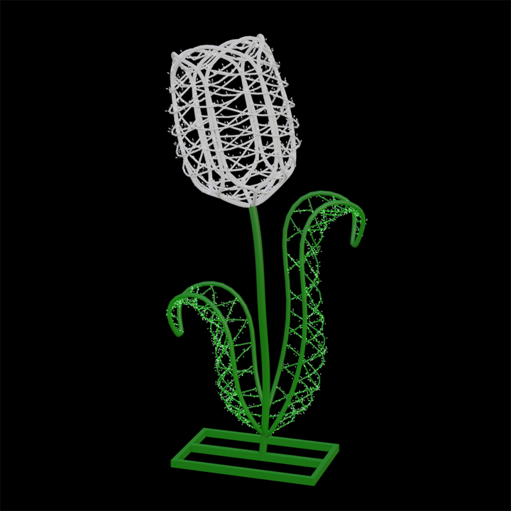 Tulip Flower