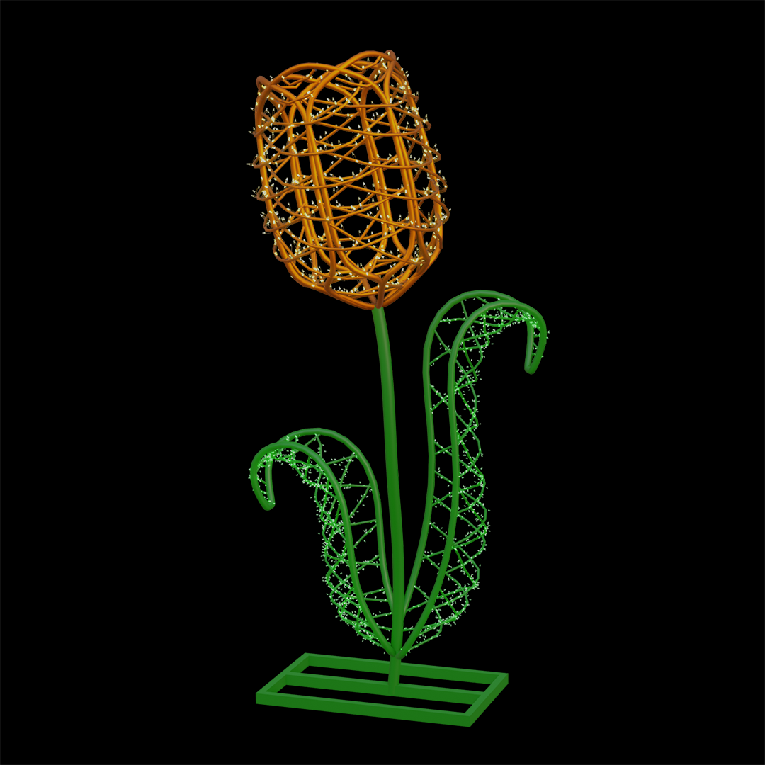 Tulip Flower