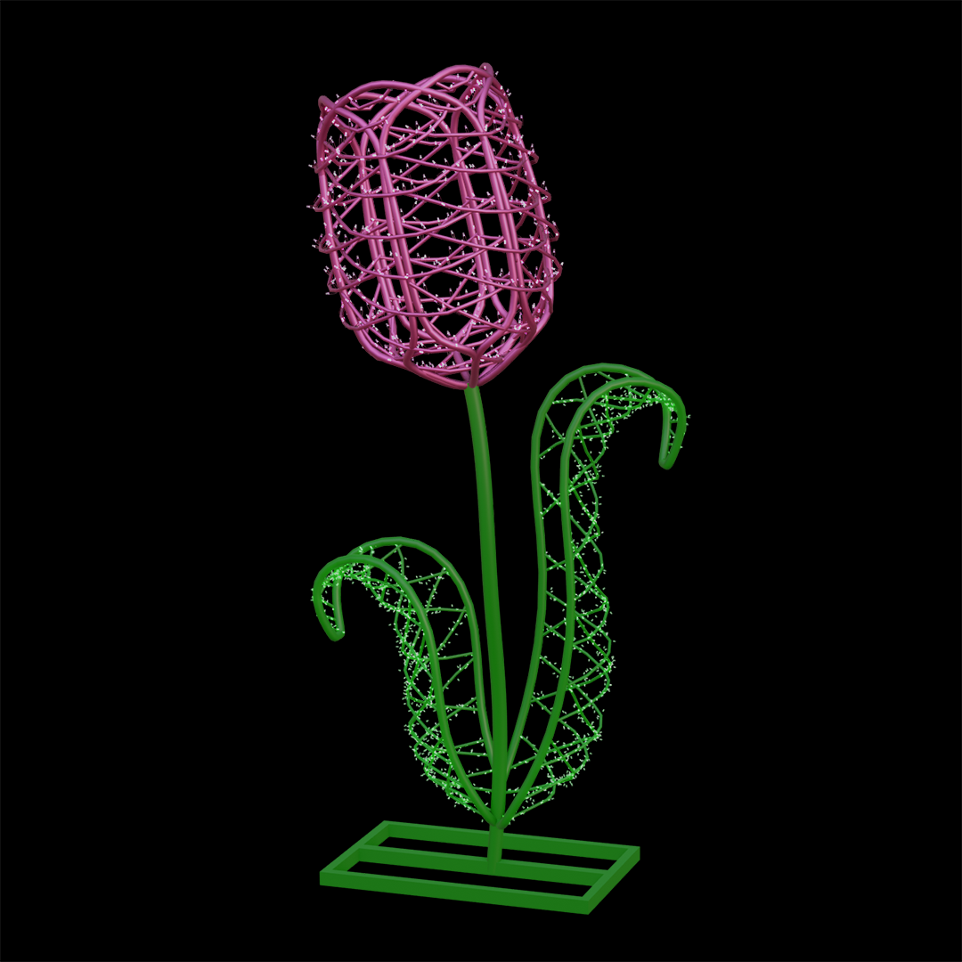 Tulip Flower
