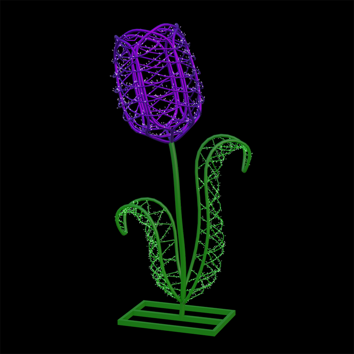 Tulip Flower